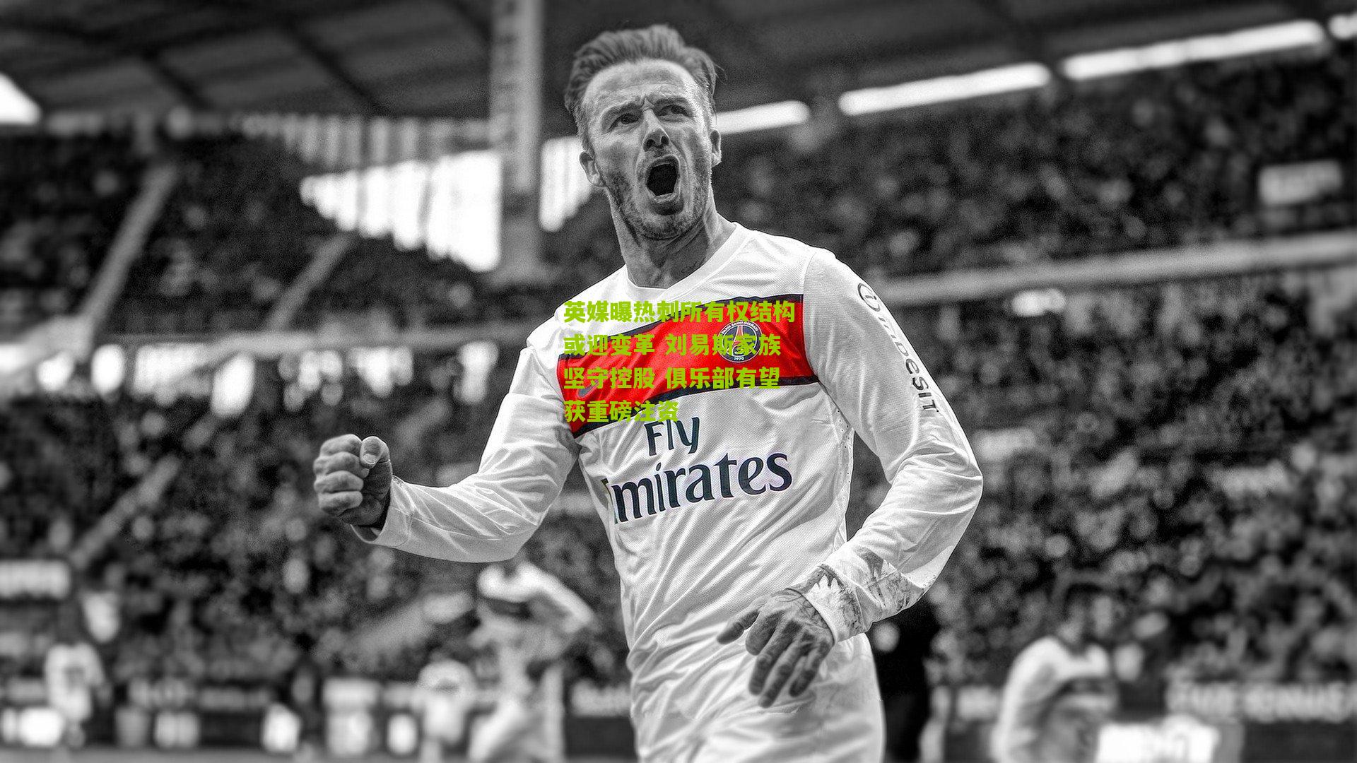 金年会官方网站_英媒曝热刺所有权结构或迎变革 刘易斯家族坚守控股 俱乐部有望获重磅注资