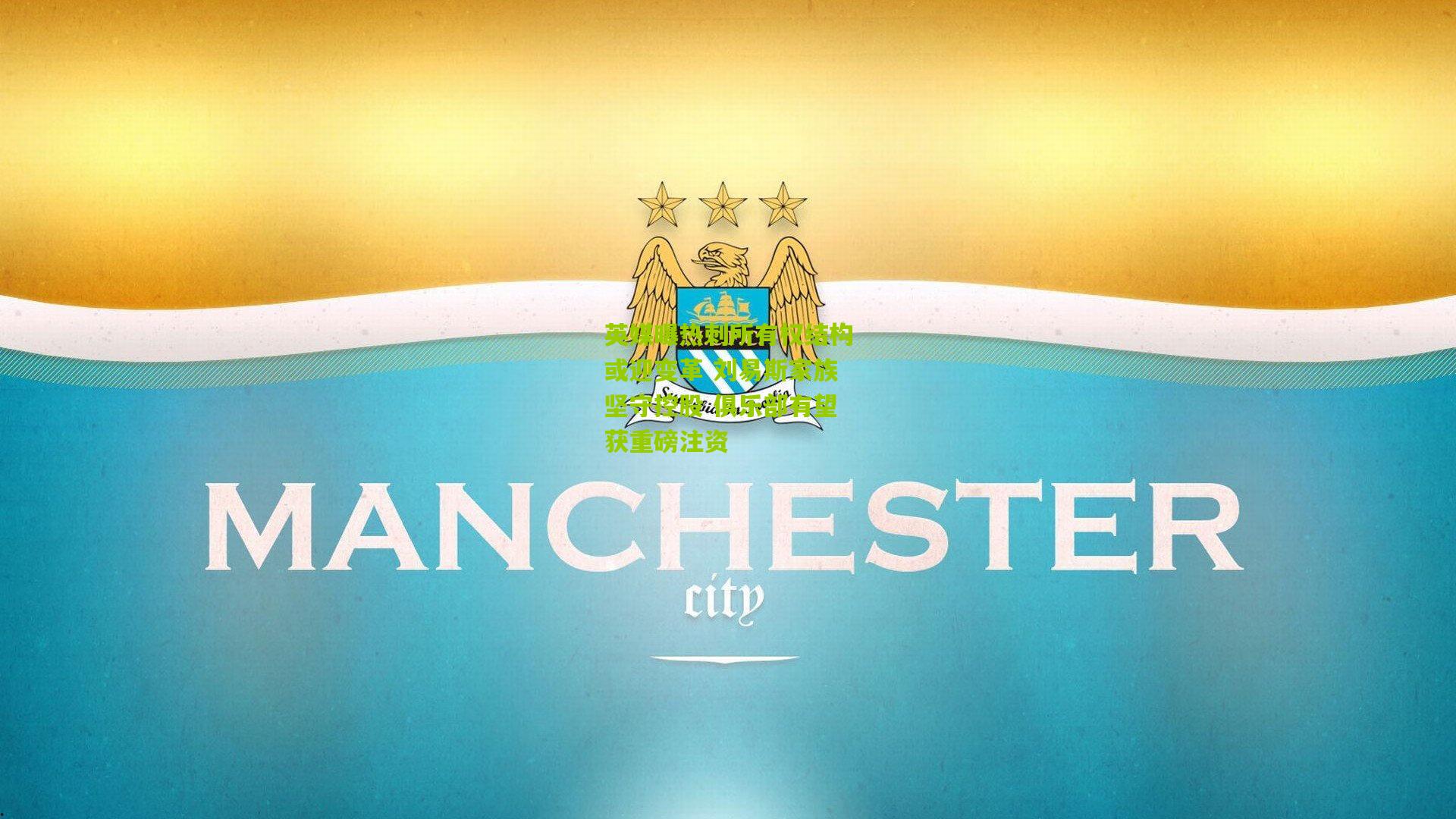 英媒曝热刺所有权结构或迎变革 刘易斯家族坚守控股 俱乐部有望获重磅注资